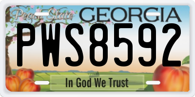 GA license plate PWS8592
