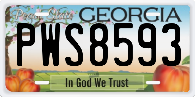 GA license plate PWS8593