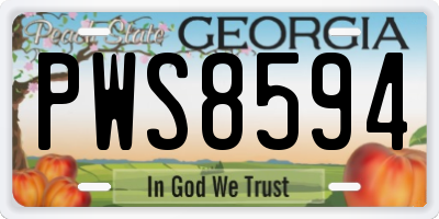 GA license plate PWS8594