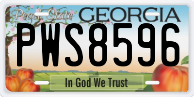 GA license plate PWS8596