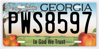 GA license plate PWS8597