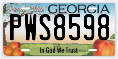 GA license plate PWS8598