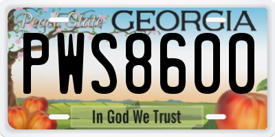 GA license plate PWS8600