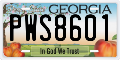 GA license plate PWS8601