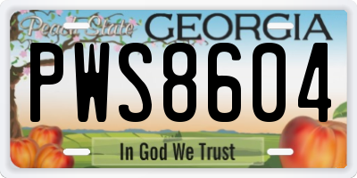 GA license plate PWS8604