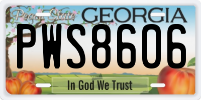 GA license plate PWS8606