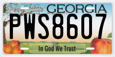 GA license plate PWS8607