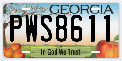 GA license plate PWS8611