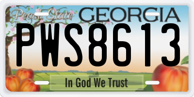 GA license plate PWS8613