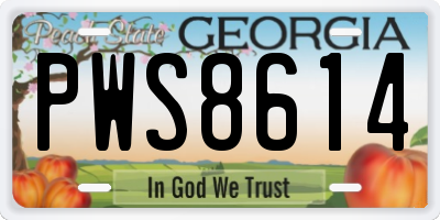 GA license plate PWS8614