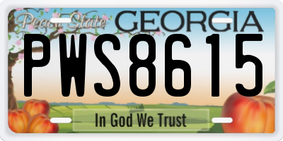 GA license plate PWS8615
