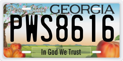 GA license plate PWS8616