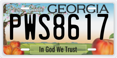 GA license plate PWS8617