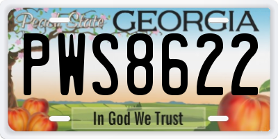 GA license plate PWS8622