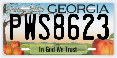 GA license plate PWS8623