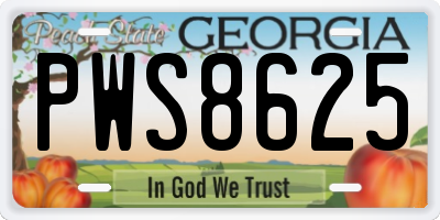 GA license plate PWS8625