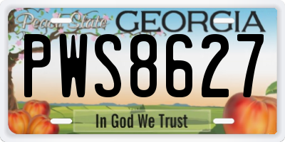 GA license plate PWS8627