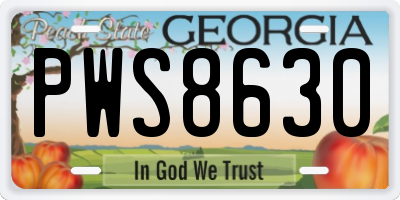 GA license plate PWS8630