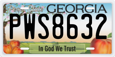 GA license plate PWS8632