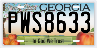 GA license plate PWS8633
