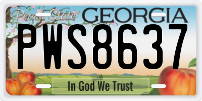 GA license plate PWS8637