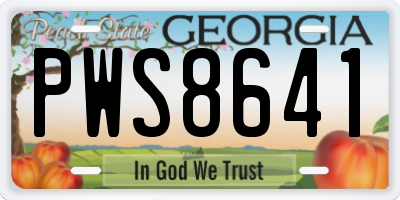 GA license plate PWS8641