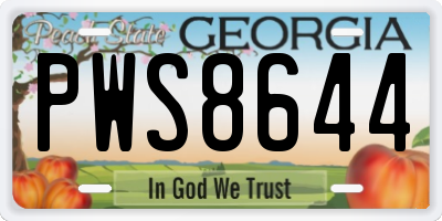 GA license plate PWS8644