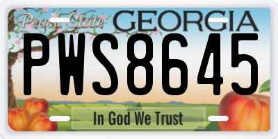 GA license plate PWS8645