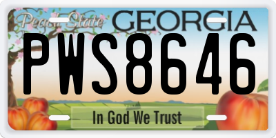 GA license plate PWS8646