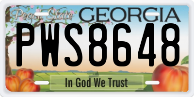 GA license plate PWS8648