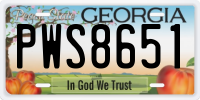 GA license plate PWS8651