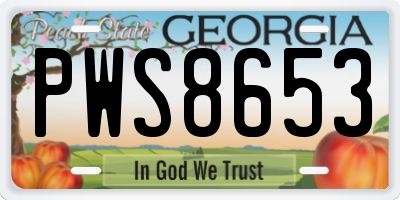 GA license plate PWS8653