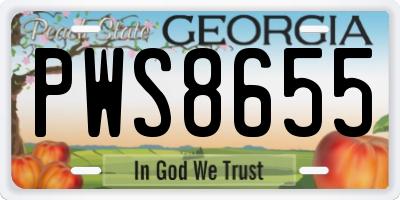 GA license plate PWS8655
