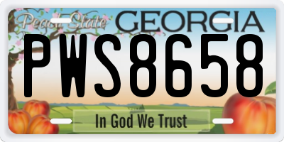 GA license plate PWS8658