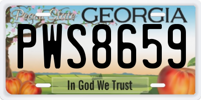 GA license plate PWS8659