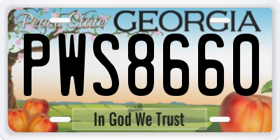 GA license plate PWS8660