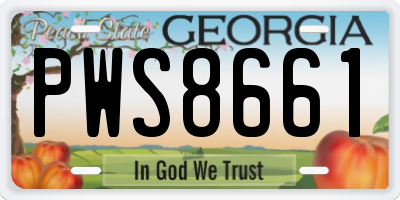 GA license plate PWS8661