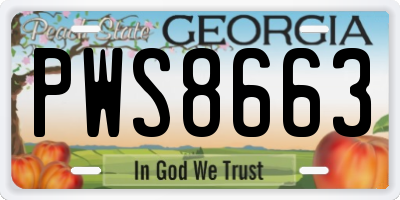GA license plate PWS8663