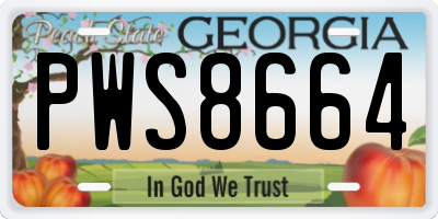 GA license plate PWS8664
