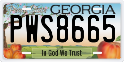 GA license plate PWS8665
