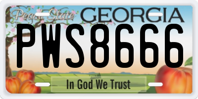 GA license plate PWS8666