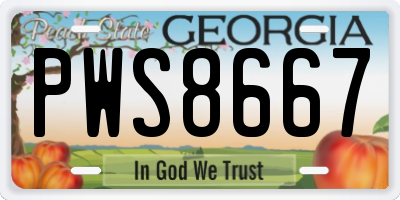 GA license plate PWS8667