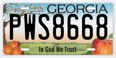 GA license plate PWS8668