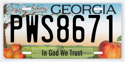 GA license plate PWS8671