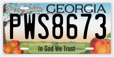 GA license plate PWS8673