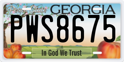 GA license plate PWS8675