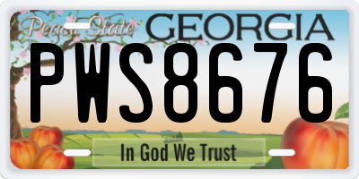 GA license plate PWS8676