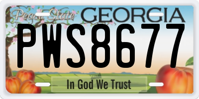 GA license plate PWS8677