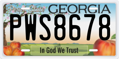 GA license plate PWS8678