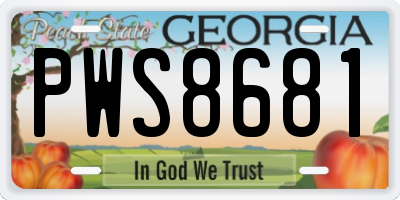 GA license plate PWS8681